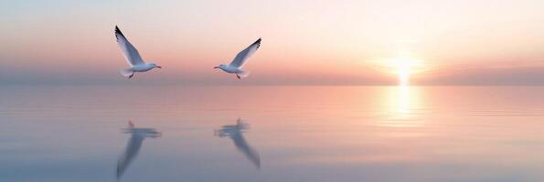 Two seagulls flying over the ocean at sunset photo