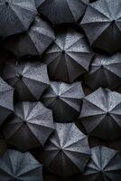 A large group of black umbrellas photo