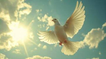 A white dove flying in the sky with the sun in the background photo
