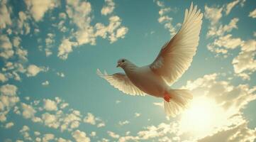 A white dove flying in the sky photo