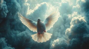 A white dove flying through the clouds photo