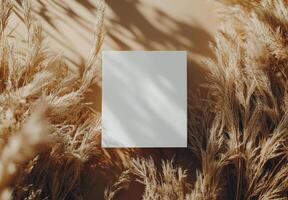 A blank white card is sitting in the middle of a field of tall grass photo