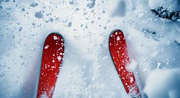 A pair of skis on the snow photo