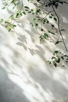 A tree branch is shown against a white wall photo