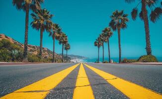 A road with palm trees and a blue sky photo