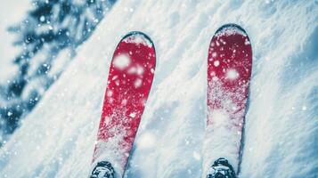 Two skis are shown in the snow photo