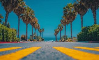 An empty road with palm trees and a blue sky photo