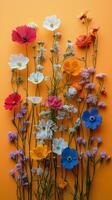 A bouquet of flowers on an orange background photo