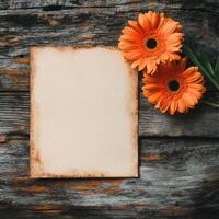 Orange gerbera flowers on old paper on wooden background photo