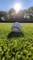 A baseball sits on the grass in front of the sun photo