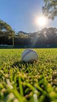 A baseball sits on the grass in front of the sun photo