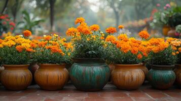 A row of pots with orange flowers in them photo