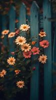 Flowers on a blue fence photo