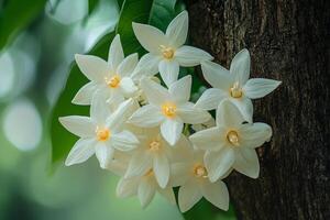 White flowers on a tree photo