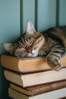 A cat wearing glasses is sleeping on top of a stack of books photo