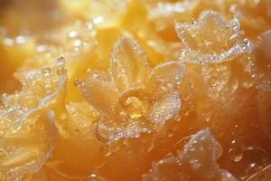 A close up of a flower with water droplets on it photo