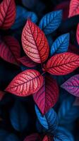 Red and blue leaves on a black background photo