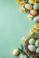 Easter eggs and daffodils on green background photo