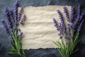 Lavender flowers and old paper on a black slate background photo