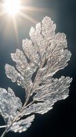 A leaf with frost on it in front of the sun photo