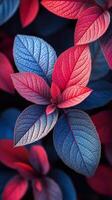 Red and blue leaves are shown in this photo