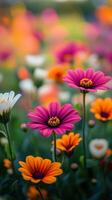 Colorful flowers are shown in a field photo