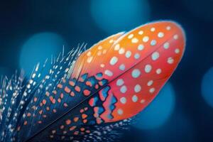A close up of a colorful feather with polka dots photo