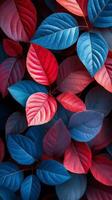 A close up of red and blue leaves photo