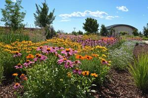 A flower garden with many different flowers photo