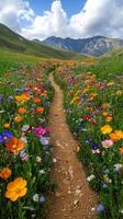 A dirt path leads through a field of wildflowers photo