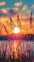 Sunset over the sea with grass and water photo