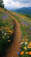 A dirt path leads to a field of wildflowers photo