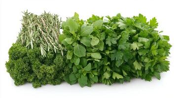 Herbs and spices on white background photo