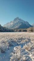 A snowy field with mountains in the background photo