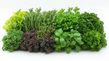 Various types of herbs and vegetables on a white background photo