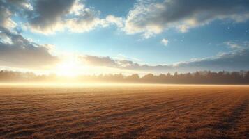A field with a sun shining over it photo