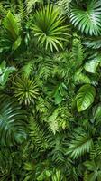 Tropical jungle wall background with green leaves photo