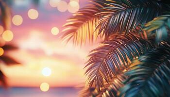 Tropical palm tree with sunset and bokeh effect photo