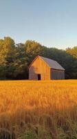 A barn sits in the middle of a field photo