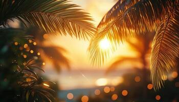 Tropical palm trees at sunset photo