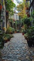 A cobblestone street with potted plants and flowers photo