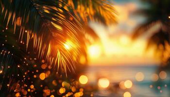 Tropical sunset with bokeh effect on palm trees photo