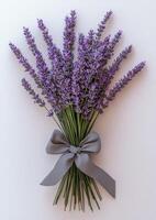 Lavender flowers with a ribbon on a white surface photo