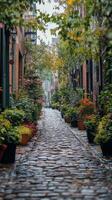 A cobblestone street lined with potted plants photo