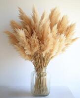 A vase filled with dried grasses on a white surface photo