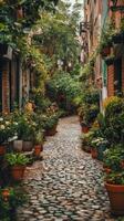 A cobblestone street with potted plants and flowers photo