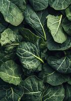 A large pile of green leaves with leaves on top photo