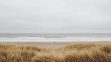 A lone person walking along the beach with tall grass photo