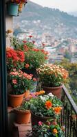 Flowers on balcony in mexico city photo