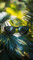 A pair of sunglasses on a leafy green background photo